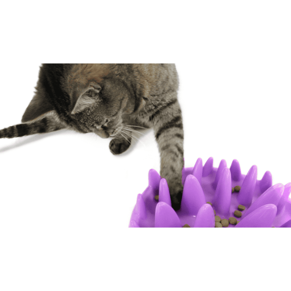 Green Slow Cat Feeder