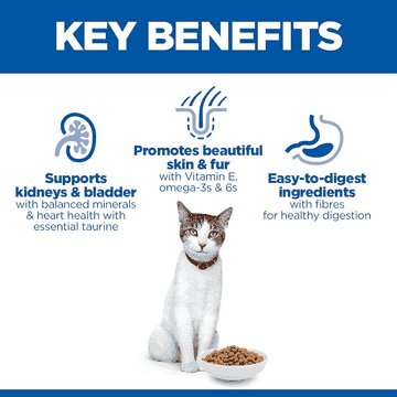 Feline Senior 11+