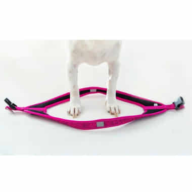 Harnais pour chien Fast-Fit rose