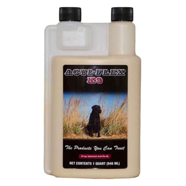 ACTI-FLEX K9 Dog
