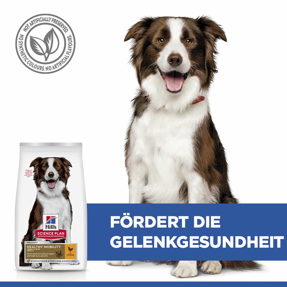 Canine Adult Healthy Mobility Medium Breed