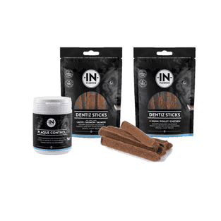 Dental-Bundle Lachs & Huhn