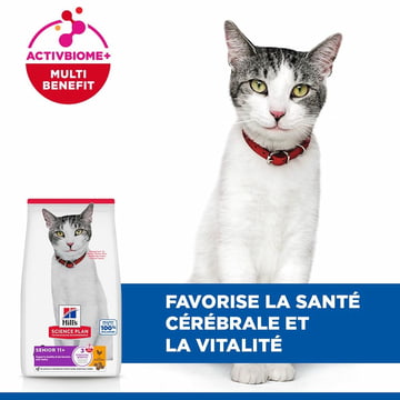 Feline Senior 11+