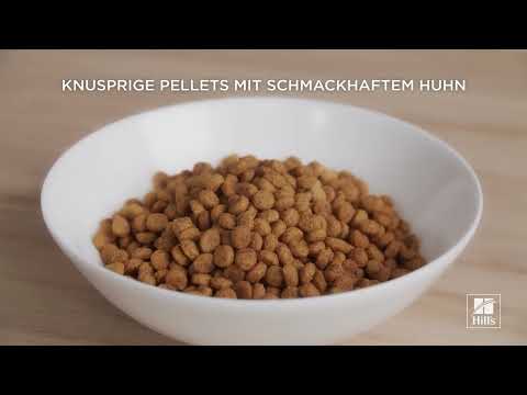 Canine Adult Perfect Weight Mini Breed