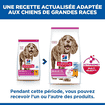Canine Senior 11+ Small & Mini Breed