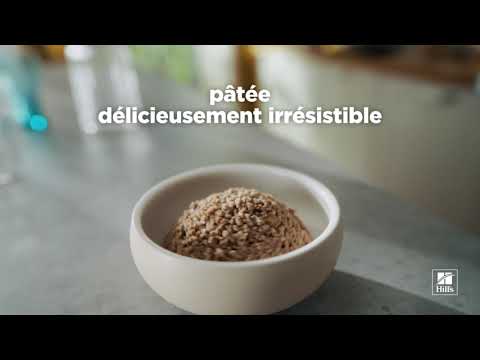 Canine Adult Beef - Boîte
