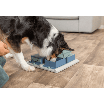 Dog Activity Poker Box 1