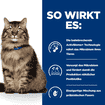 Feline Gastrointestinal Biome - Frischebeutel