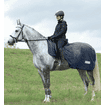 Couverture d'équitation anti-mouches Comfort - bleu