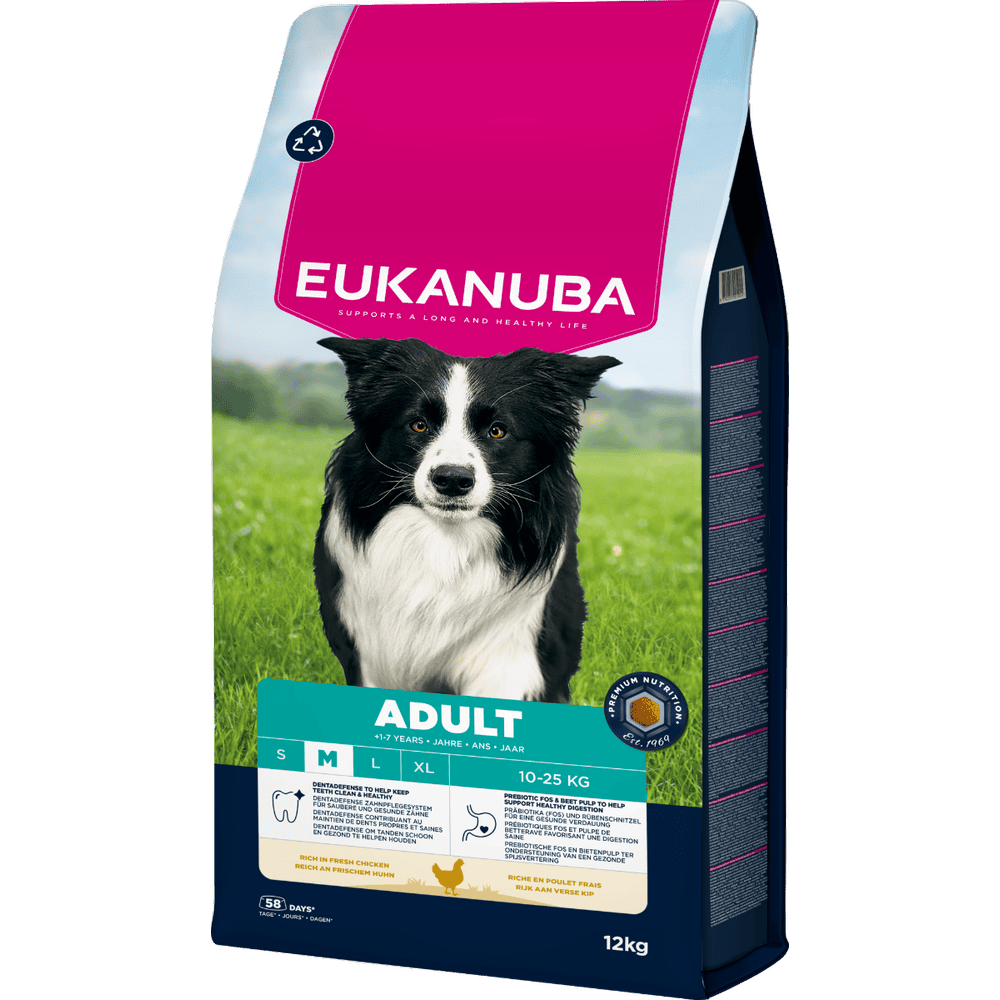 Active Adult Medium Breed
