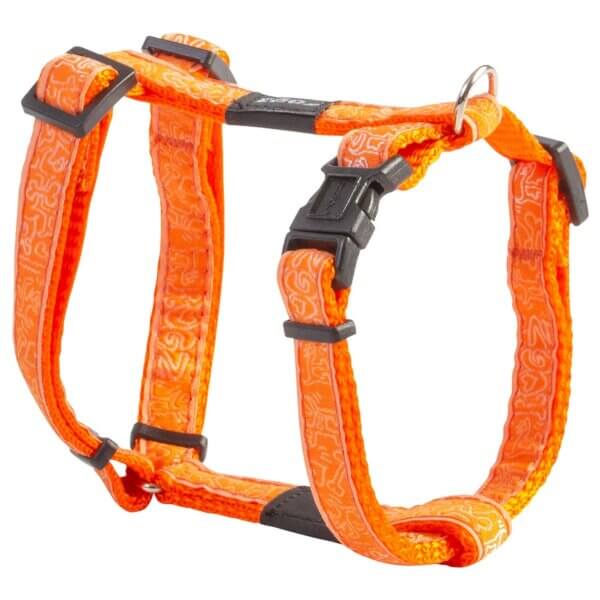 Harnais pour chien Fancy Dress M