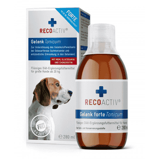 Gelenk Forte Tonicum für Hunde 1x280ml