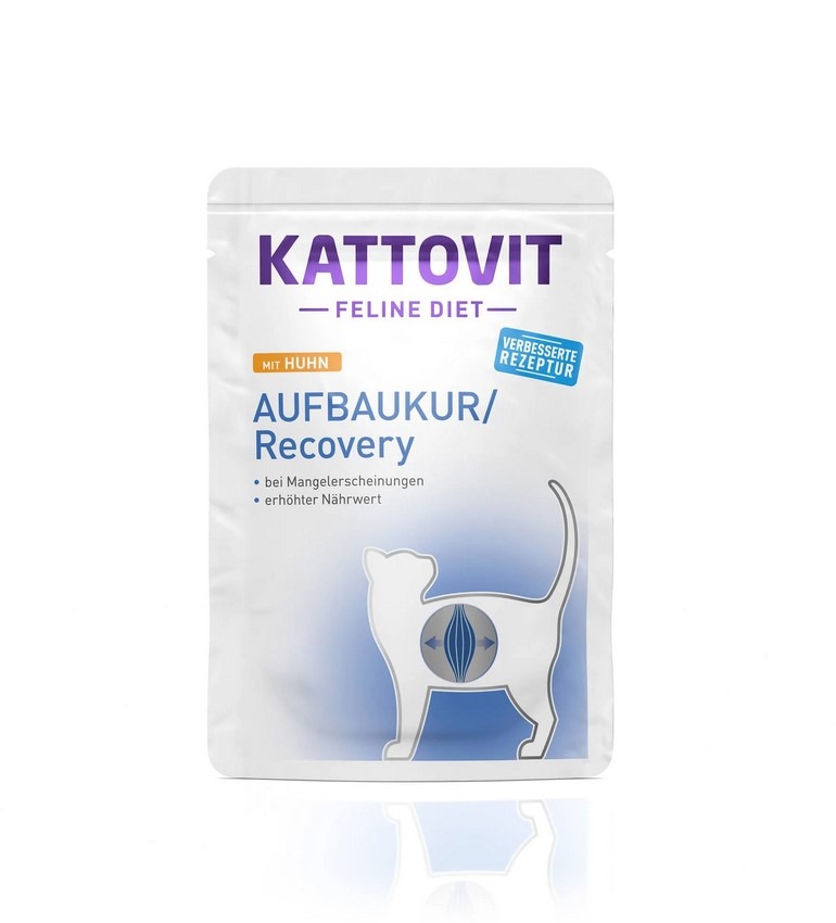 Aufbaukur/Recovery