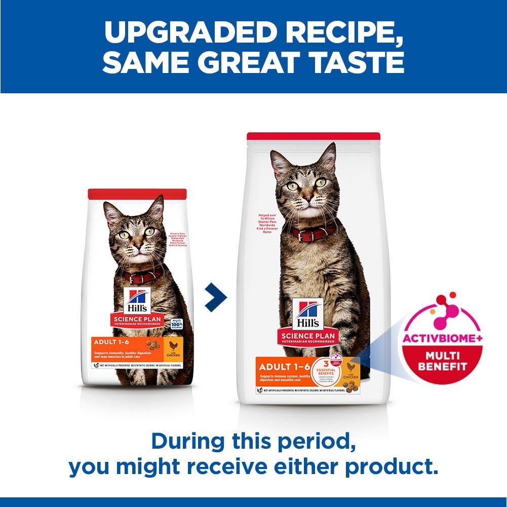 Feline Adult Chicken