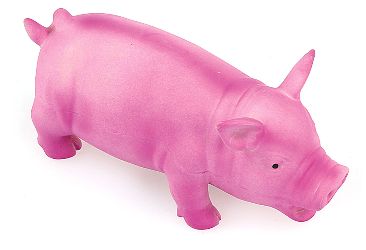 Latex pig