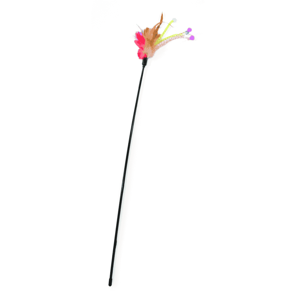 Feather duster with softballs