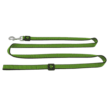 swisspet Citydog leashes, green