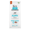 Care Dog Puppy - Lamb - Hypoallergenic