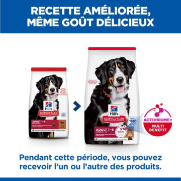 Canine Adult Large Breed Lamb & Rice