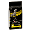 CANINE NC NeuroCare