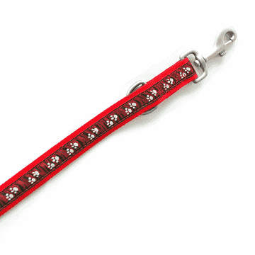 DoggyLine lead, 20 mm / 180 cm, red
