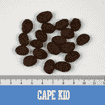 Cape Kid Puppy Large dinde & saumon