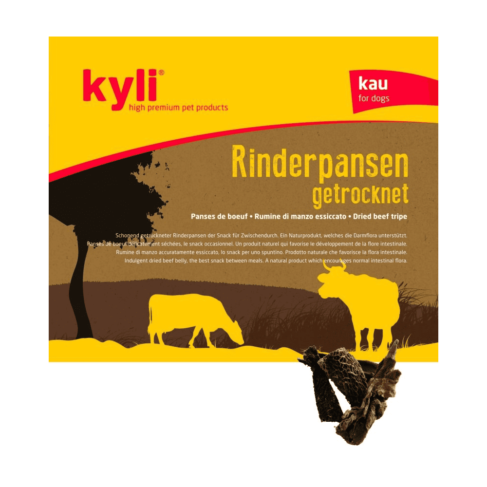 Beef rumen