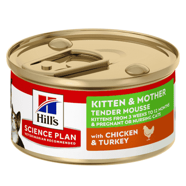 Kitten & Mother Tender Mousse