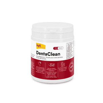 DentaClean