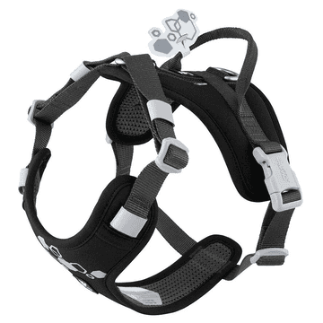 Weekend Warrior harness II ECO