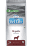 Canine Hepatic