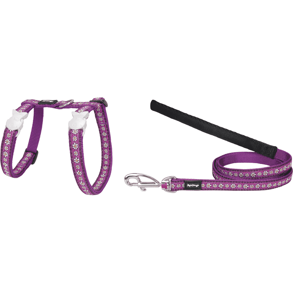 Harnais & laisse pour chats Design Daisy Chain XS