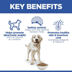 Canine Adult Light Large Breed
