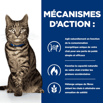 Feline Metabolic Weight & Diabetes Management Salmon