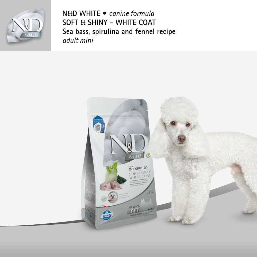 Canine Adult Mini Bar, Fenouil & Spiruline