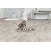Kratzpappe mit Spielzeug & Katzenminze