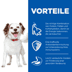 Canine Small & Mini Breed Beef - Dose
