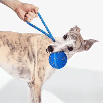 Wicked Ball Air Rope