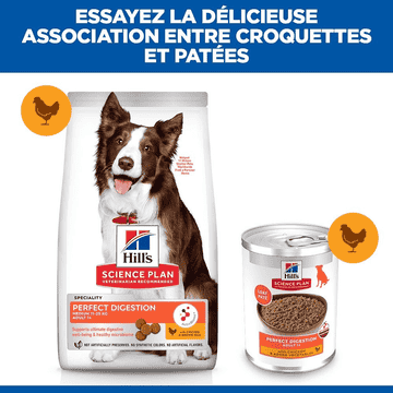 Canine Adult Perfect Digestion - Boîte