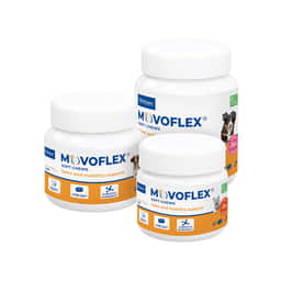 MOVOFLEX Soft Chews Hund