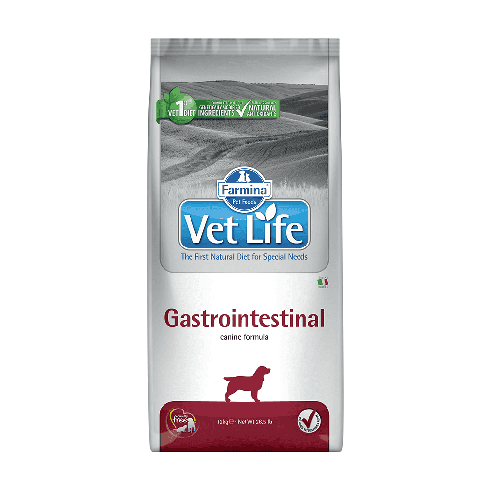 Canine Gastrointestinal