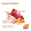 Feline Adult Kürbis Wachtel, Granatapfel