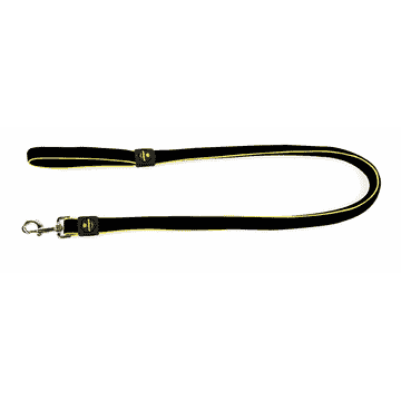 Active Dog city leash