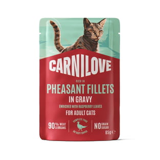 Adult Pheasant with Raspberry Leaves Gravy Pouch