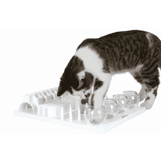Cat Activity Fun Board