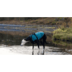 Pull en laine polaire Trail Quest Teal