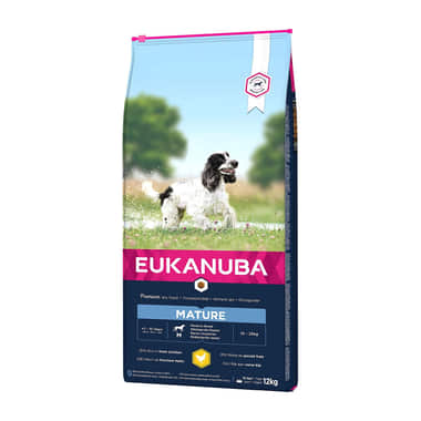 Mature Medium Breed