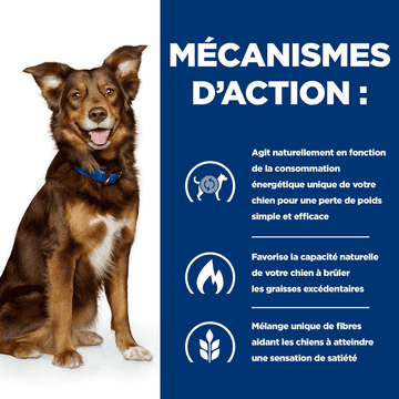 Canine Metabolic Weight loss & Maintenance Lamb & Rice