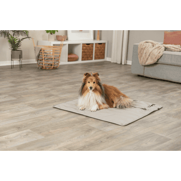 CityStyle travel blanket
