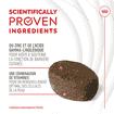 Skin & Coat Chews Adult Supplements